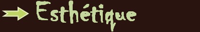 Tarifs esthtique